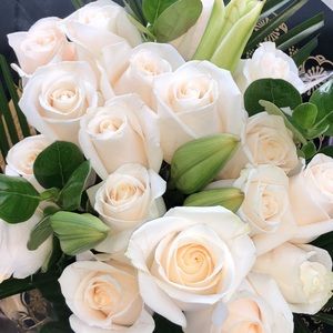 Meet your Posher, Kaley